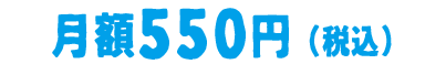 月額500円(税抜)